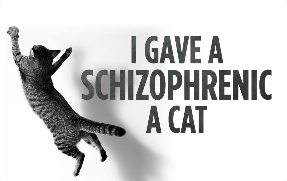 I Gave A Schizophrenic A Cat