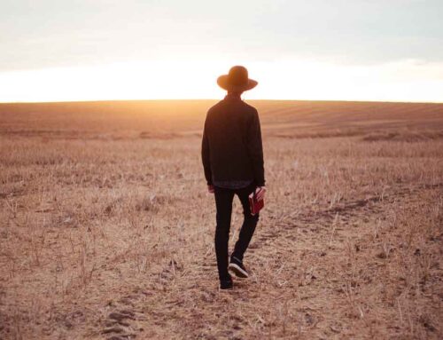 Building Stronger Communities: Collaborative Solutions for Rural Mental Health Care