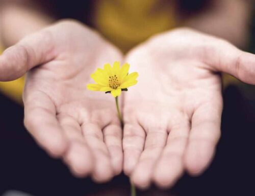 Vital Role of Nurse Practitioners in Supporting Patients’ Mental Well-being