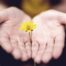 Vital Role of Nurse Practitioners in Supporting Patients' Mental Well-being