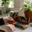 Hands opening pill organizer on table