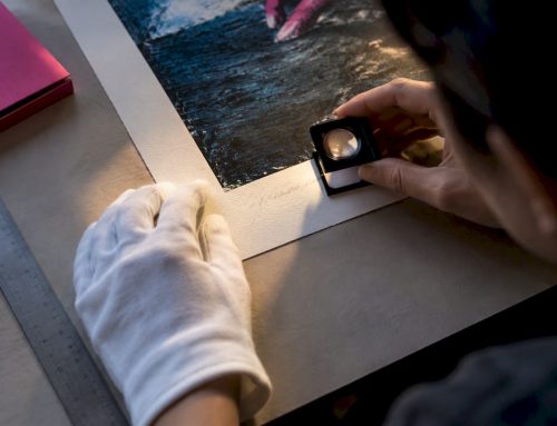 Verify and Protect Signed Limited Edition Prints (Artist Example)